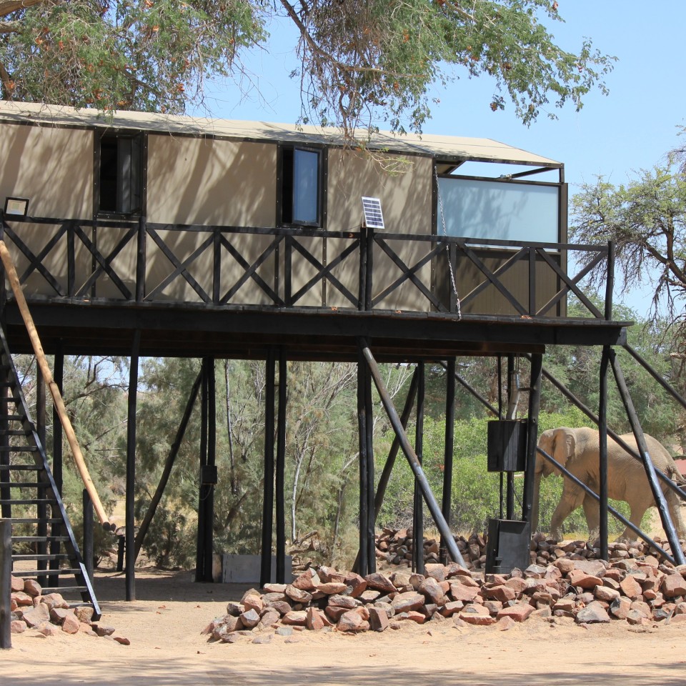 Brandberg White Lady Lodge